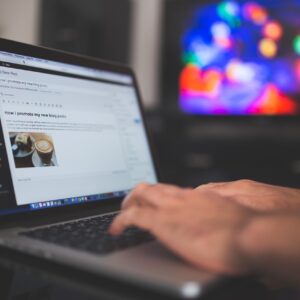 WordPress Basic Support - 950/hour